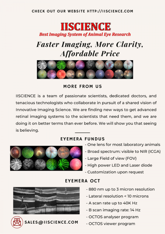 Eyemera Fundus & OCT.png