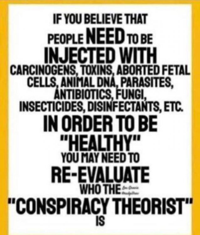 img Vaccine Lies.jpg